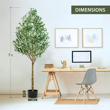 Dimensions frame: Set expectations